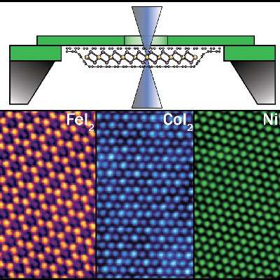 First Atomic‑scale Images of Monolayer Transition Metal Diiodides