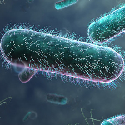 Stanford Researchers Develop a New Way to Identify Bacteria in Fluids
