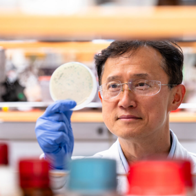 Researchers Pioneer Greener Way to Extract Rare Earth Elements