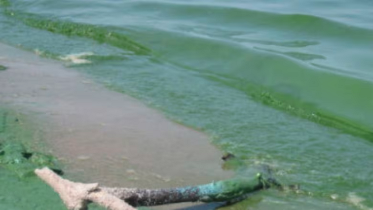 Pilot Project Uses Nanobubble Technology to Battle Algae Blooms in Manitoba Lake