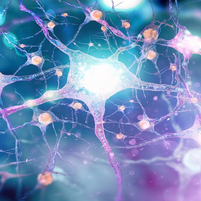 UB Study Outlines New Strategies to Combat Neurodegenerative Diseases