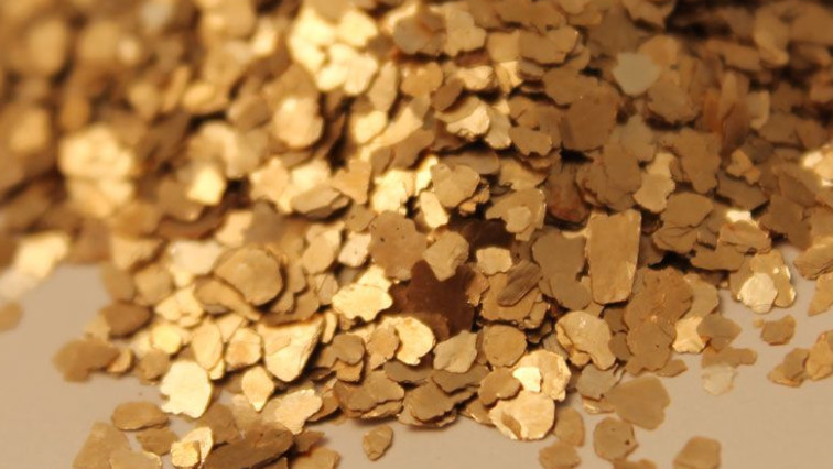 A Pair of Gold Flakes Creates a Self-assembled Resonator