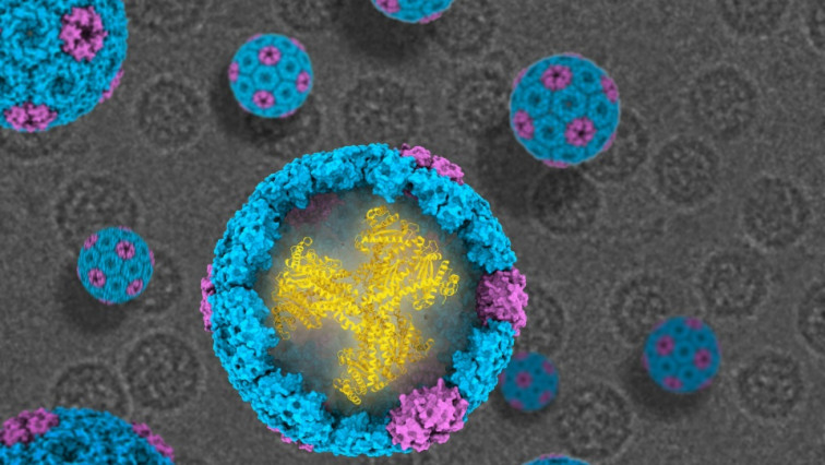 New Blueprint for Nature’s Carbon-capturing Nanomachines Revealed