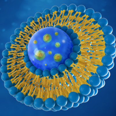 Lipid Nanoparticles Market is Expected to Reach US$ 3,175.5 Million by 2033