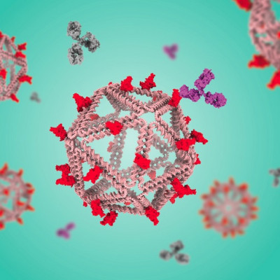 DNA Particles That Mimic Viruses Hold Promise as Vaccines