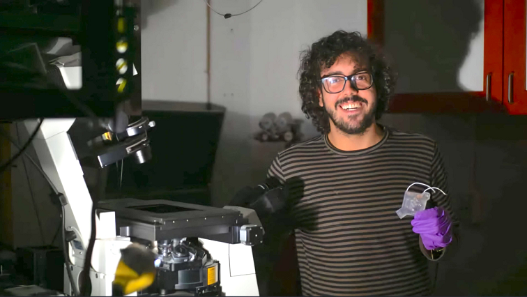 McGill Physicists Manoeuvre DNA Molecules Using Electrical Fields