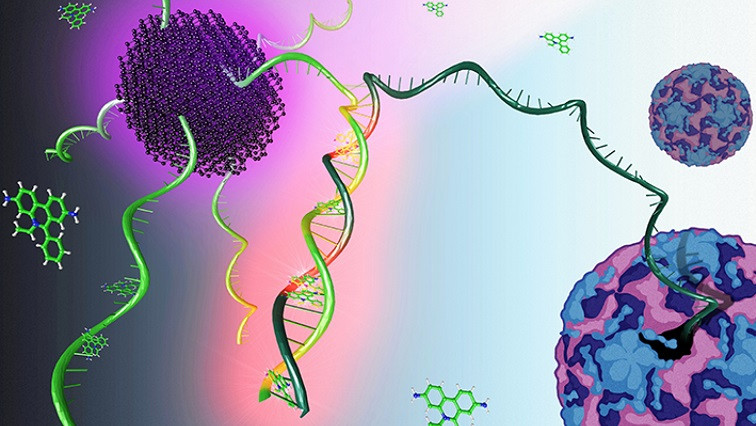 A Leap in Viral Research: More Sensitive Viral RNA Detection