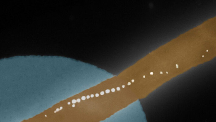Bacteria with Built-in Compass