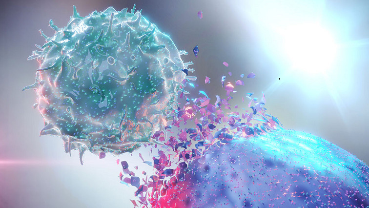 Scientists Develop Light-triggered Multifunctional Nanoplatform for Efficient Cancer Photo-immunotherapy