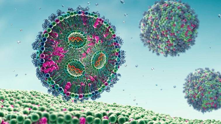 Cracking the Code for Organ-specific Drug Delivery