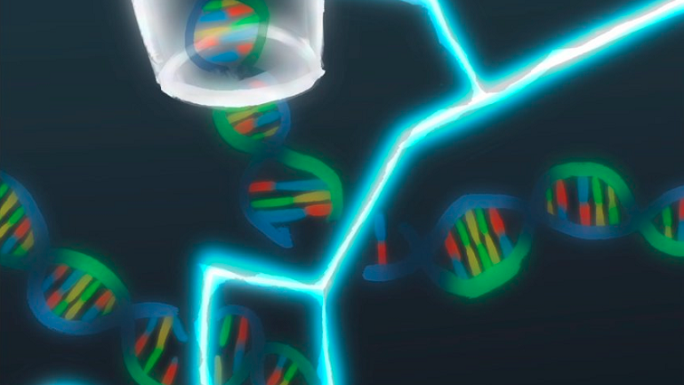 New Technique for Measuring DNA Damage Could Improve Cancer Therapy and Radiological Emergency Response
