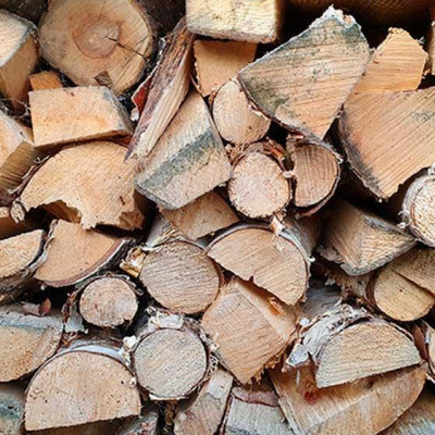 Scientists Produce Electricity from Wood