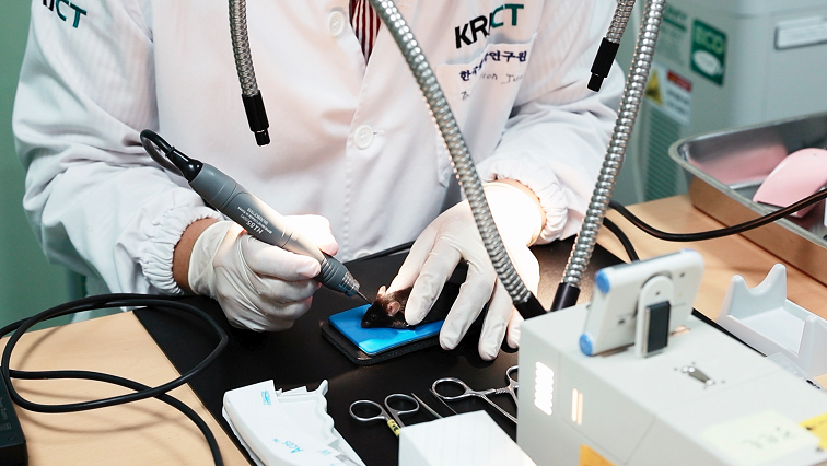 Next-generation Nanoparticle–stem Cell Hybrids Open a New Horizon in Bone Regeneration