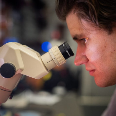 Quantum Computers Get A Boost from A Tiny Material Tweak