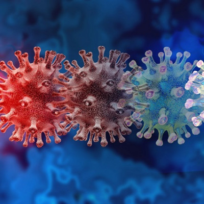 Novel All-in-One Vaccine Developed to Tackle Future Coronavirus Threats