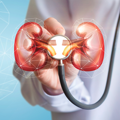 Chung-Ang University Develops Non-invasive Biosensor for Early Kidney Disease Detection