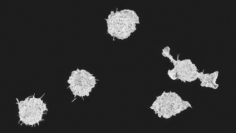 Not Just A Messenger: Developing Nano-sized Delivery Agents That Also Provide Therapeutic Treatment