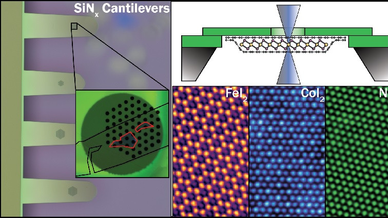 First Atomic‑scale Images of Monolayer Transition Metal Diiodides