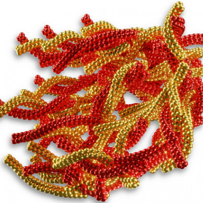 Ultra-long Protein Fibrils Give Clues on Dementia Risk