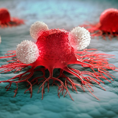 Mayo Clinic Researchers Use Milk-Derived Nanoparticles to Target Aggressive Bile Duct Cancer