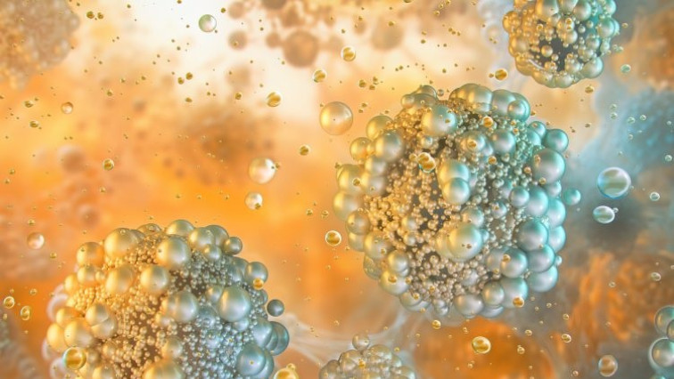 Platelet-inspired Nanoparticles Could Improve Treatment of Inflammatory Diseases