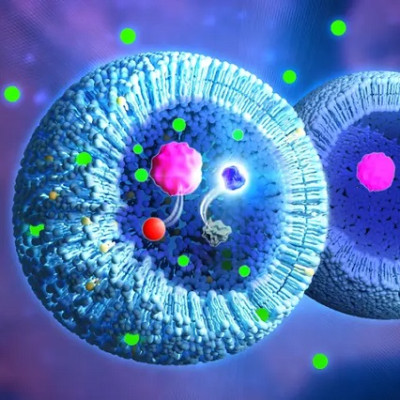 Artificial Cells with Pores