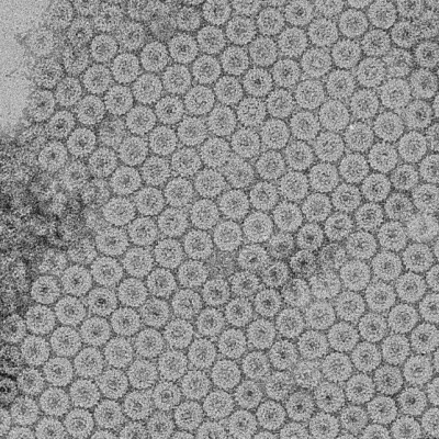 McGill Researchers Develop A Cheaper, Safer Material for Use in Solar Panels, Sensors and Optical Devices