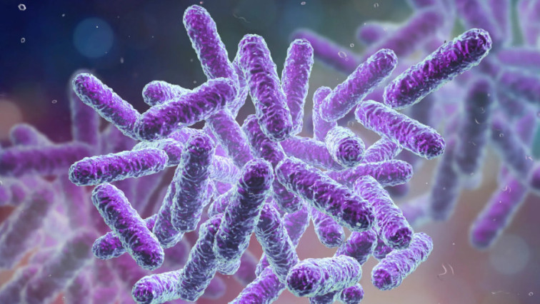 Nanorods Overcome Tigecycline Resistance of Klebsiella Pneumonia