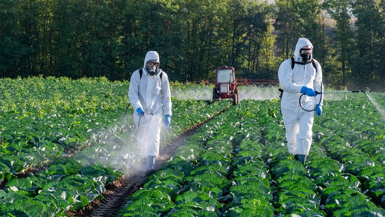 Nanotechnology Promises to Help Farmers Cut Pesticide Use – But Could Also Make Chemicals More Toxic