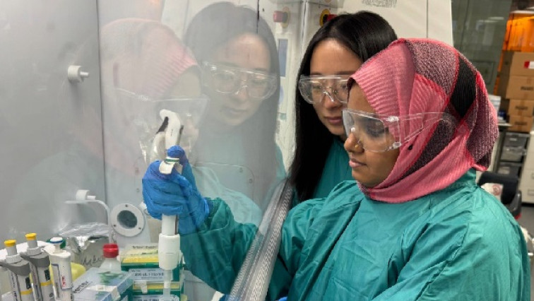 Tiny Metal Particles Show Promise for Targeted Cancer Treatments