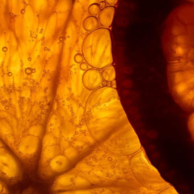 Nanotech Allows Fruit and Veg to Be Scanned for Vitamin C