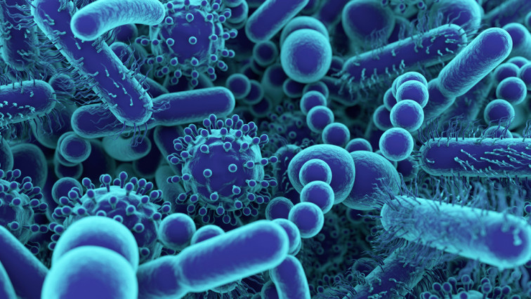 Graphene Sensors Can Detect Bacterial Pathogens