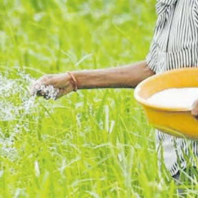 Nanotech Fertilisers Produce Higher Yields and Healthier Soils – Experts