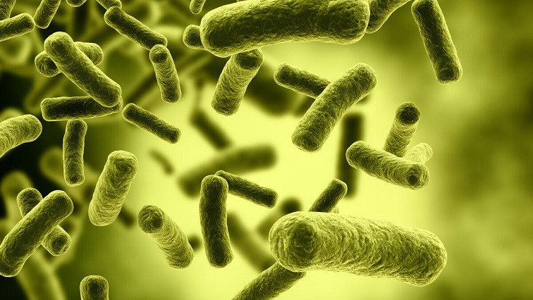 Novel Electrochemical Sensor Detects Dangerous Bacteria