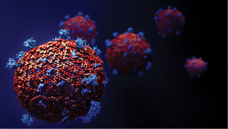 Protein-based Nanoparticles Designed to Neutralise the SARS-CoV2 Virus