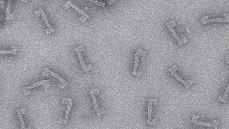 Tiny Device Illuminates the Big Impact Force Has on the Body