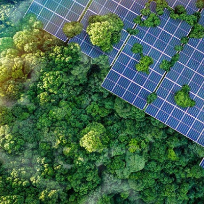 Rare Earth Single Atoms Enhance Manganese Oxide's Electrochemical Oxygen Evolution