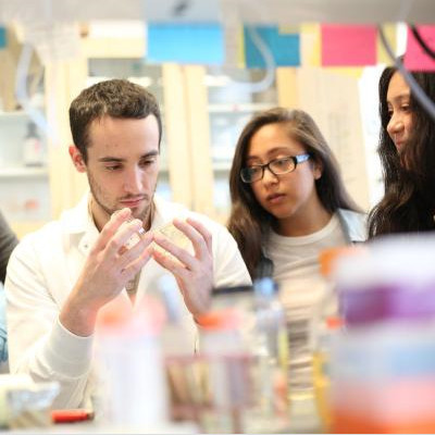 CCNY Researchers Use Structured Light on A Chip in Another Photonics Breakthrough