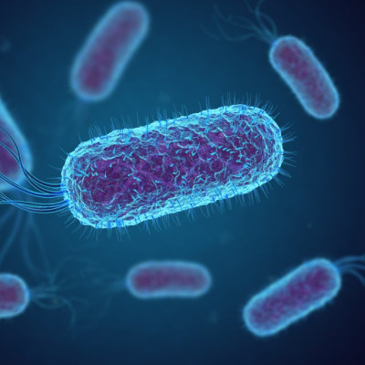 Bacterial Soundtracks Revealed by Graphene Membrane