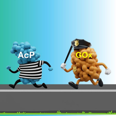 Can Nanobots Play Follow the Leader?