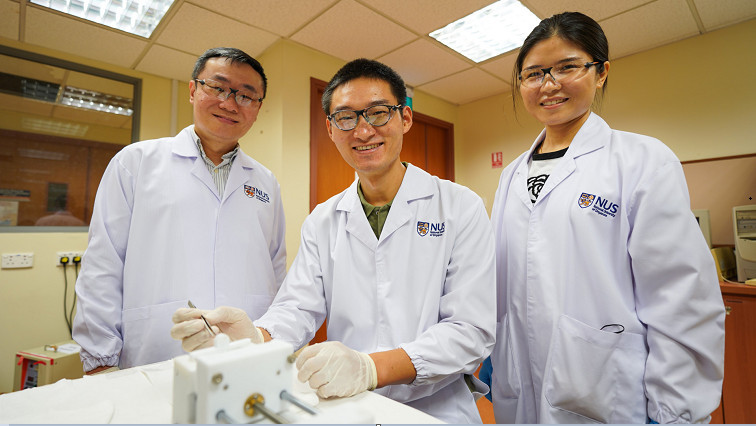 Taking a Lesson From Spiders: NUS Researchers Create an Innovative Method to Produce Soft, Recyclable Fibres for Smart Textiles