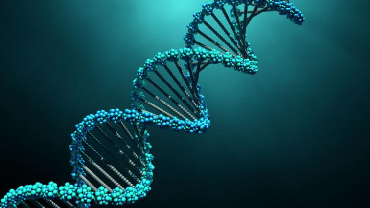 DNA Nanotubes Deliver Therapeutics to Glioblastoma Tumors
