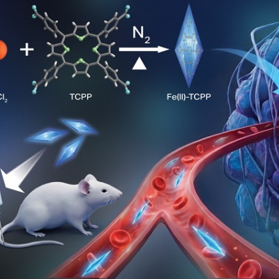 New Cancer-killing Material Developed by Oregon State University Nanomedicine Researchers