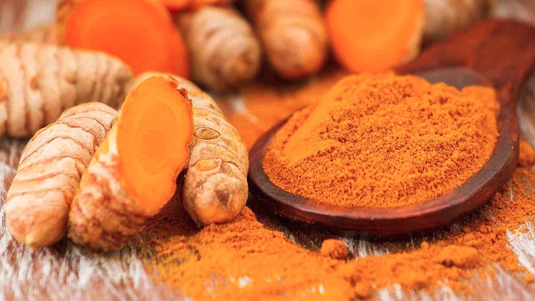 Turmeric Compound Helps Grow Engineered Blood Vessels and Tissues