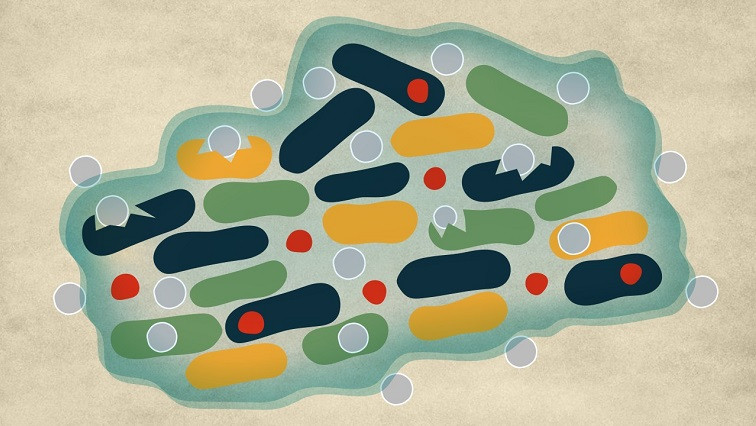 Tiny Heroes and Innovative Technology Are Here to Fight Back Against Antibiotic-resistant Biofilms