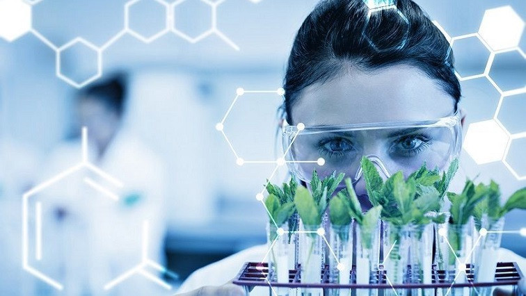What Does Nanoscience Have to Do with the Cannabis Sector?