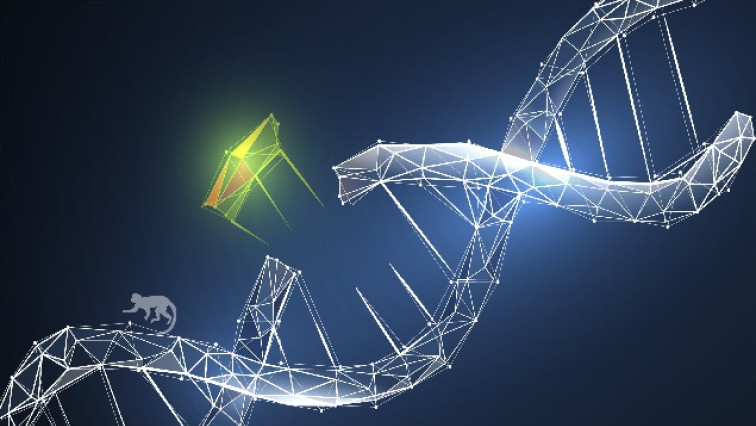 Scientists Demonstrate Pre-clinical Proof of Concept for Next-gen DNA Delivery Technology