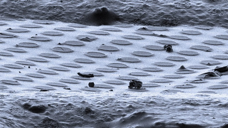 First Realistic Portraits of Squishy Layer That’s Key to Battery Performance