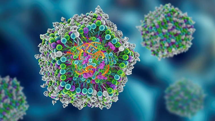 New ‘Smart’ Nanoparticles Help The Immune System Better Attack Tumours