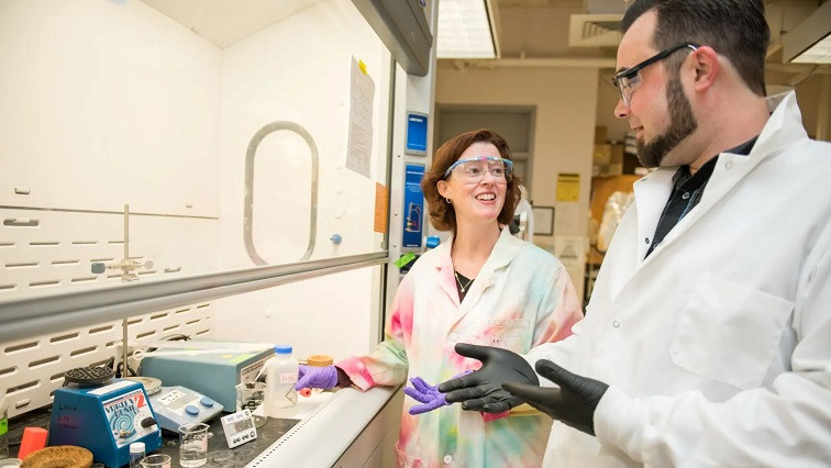 UMBC Researchers Develop New Approach to Nanoparticles That Stop Internal Bleeding